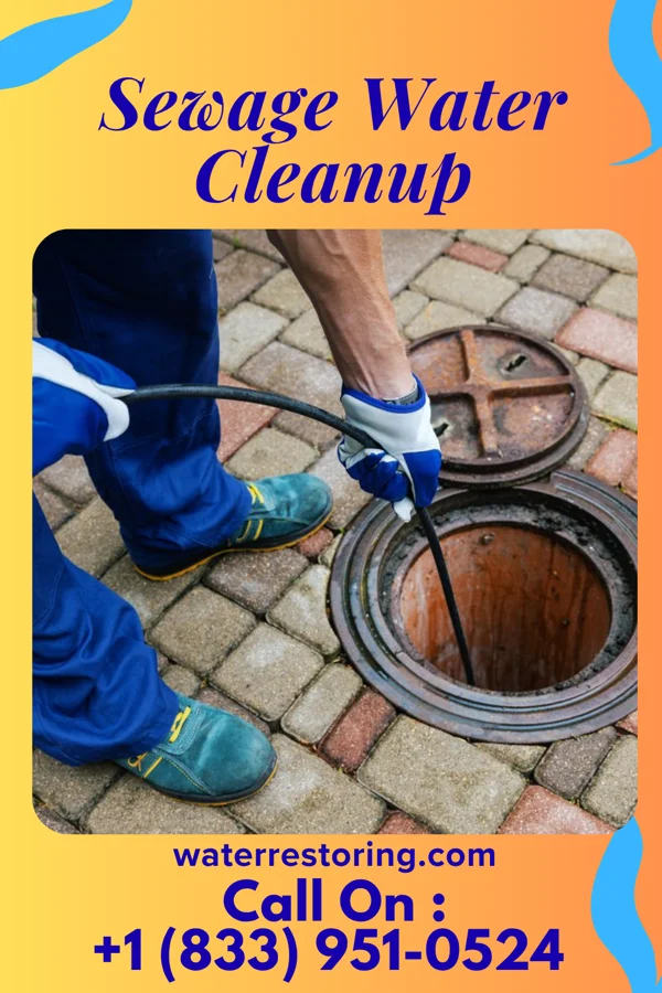 Sewage Water Cleanup in Lake of the Woods, CA